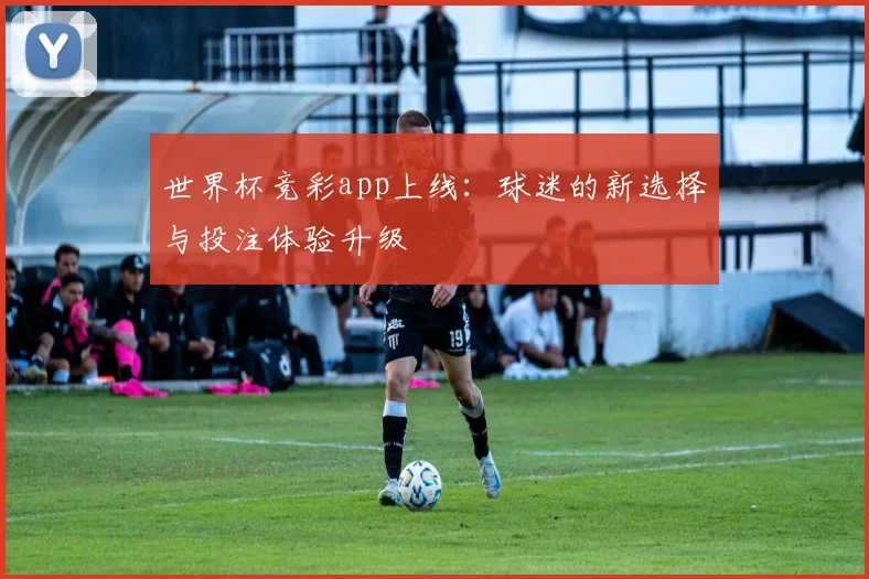 世界杯竞彩app上线：球迷的新选择与投注体验升级