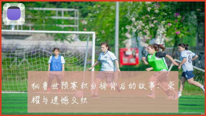 秘鲁世预赛积分榜背后的故事:荣耀与遗憾交织