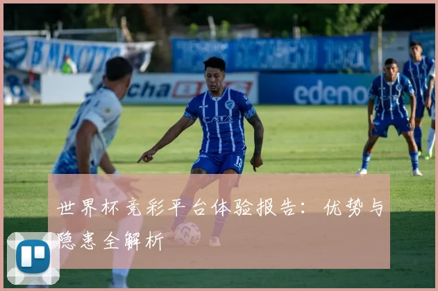 世界杯竞彩平台体验报告：优势与隐患全解析