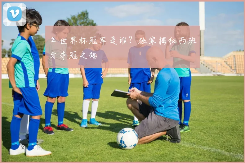 年世界杯冠军是谁？独家揭秘西班牙夺冠之路