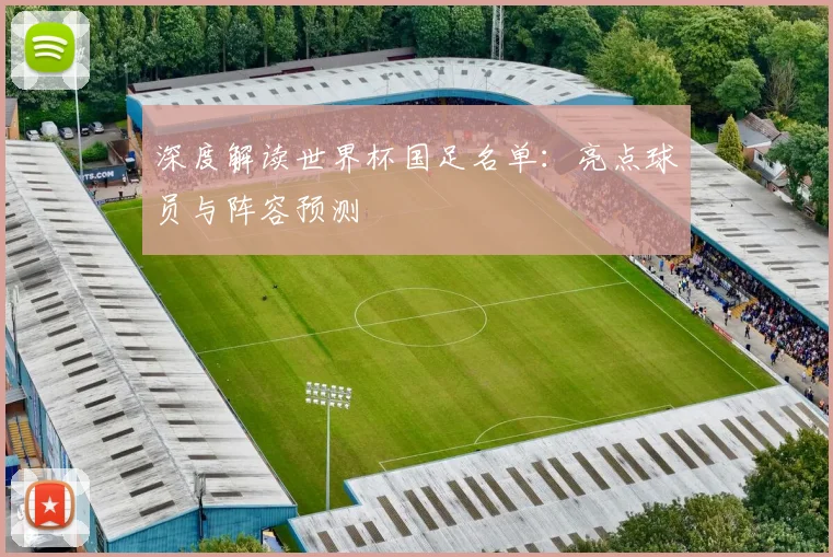 深度解读世界杯国足名单：亮点球员与阵容预测