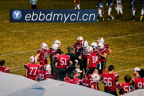 mksports官方登录入口APP 高清赛事图